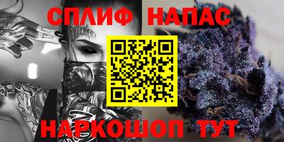 jwh Бийск
