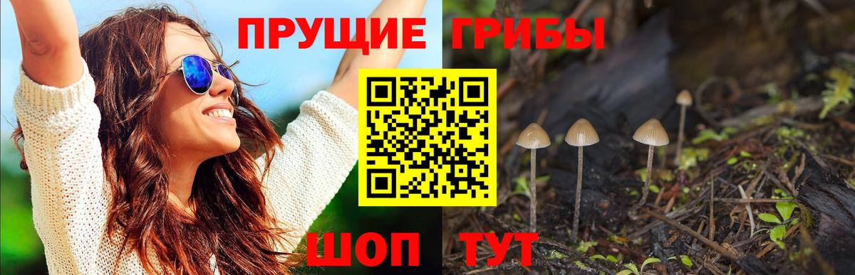 Галлюциногенные грибы GOLDEN TEACHER  Вход с VPN  Воскресенск 